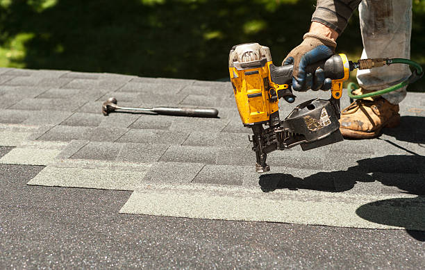 Best Roof Gutter Cleaning  in Grain Valley, MO