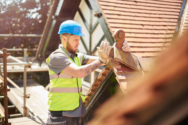Best Metal Roofing Contractor  in Grain Valley, MO