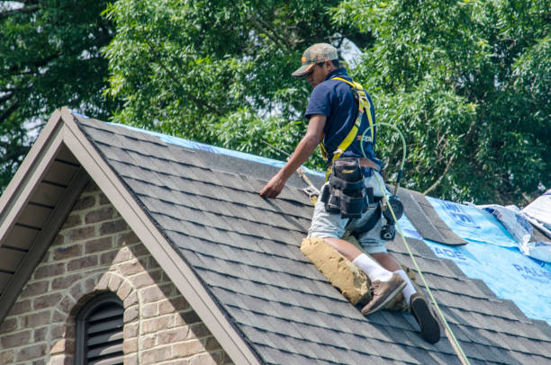 Best Storm Damage Roof Repair  in Grain Valley, MO